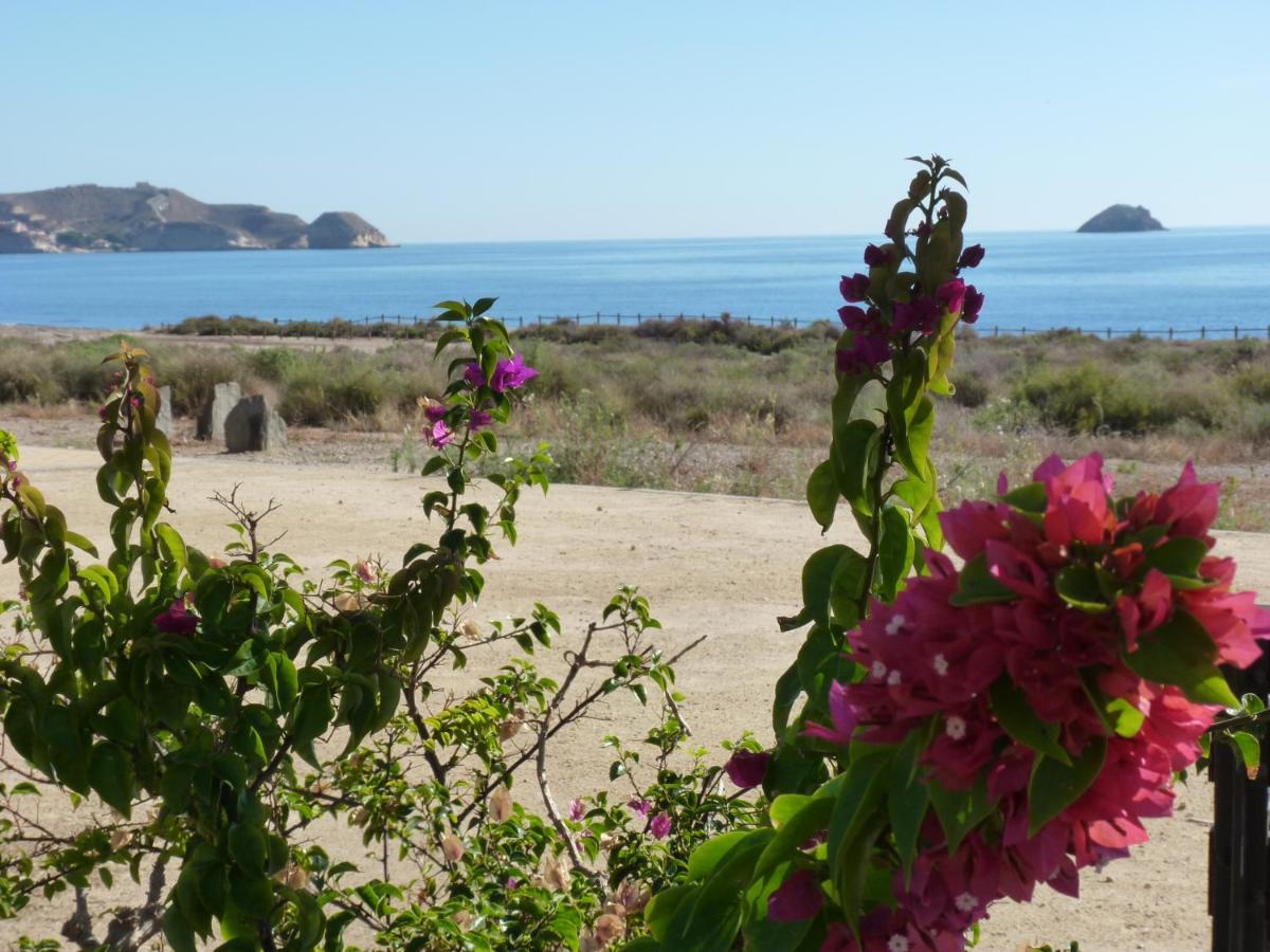 Las Azaleas San Juan de los Terreros Kültér fotó